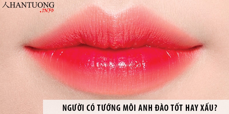 Miệng anh đào là gì? Người có tướng môi anh đào tốt hay xấu? Miệng anh đào là gì? Người có tướng môi anh đào tốt hay xấu?