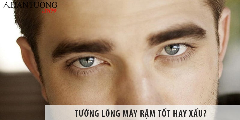 Tướng lông mày rậm ở đàn ông, phụ nữ tốt hay xấu? Tướng lông mày rậm ở đàn ông, phụ nữ tốt hay xấu?