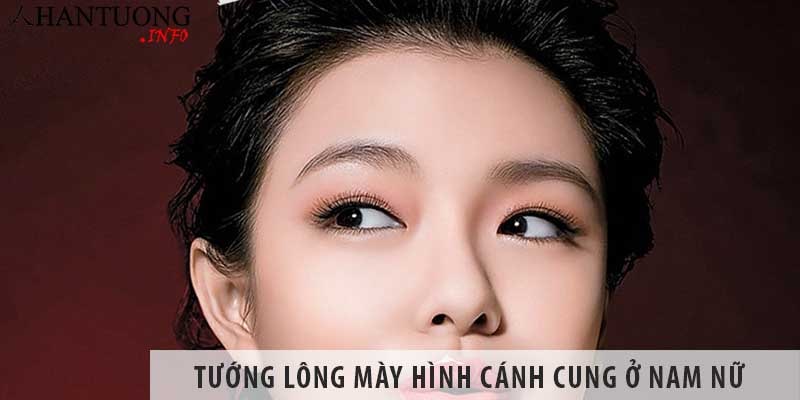 Tướng lông mày hình cánh cung, vòng cung nam nữ có ý nghĩa gì? Tướng lông mày hình cánh cung, vòng cung nam nữ có ý nghĩa gì?