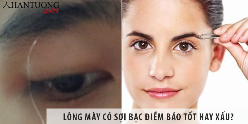 Lông mày có sợi bạc điềm báo tốt hay xấu, có nên nhổ bỏ không? Lông mày có sợi bạc điềm báo tốt hay xấu? Có nên nhổ bỏ không?