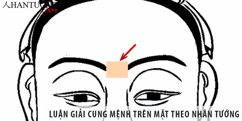 Cung Mệnh là gì? Ý nghĩa của cung Vận mệnh trong nhân tướng Cung mệnh là gì? Luận giải cung mệnh trên mặt theo nhân tướng học