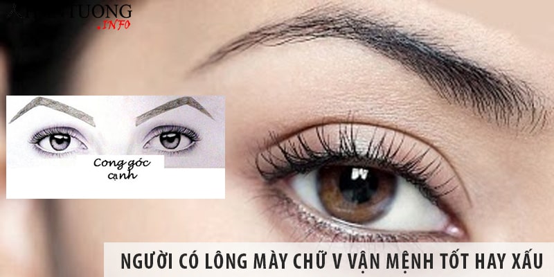 Người có tướng lông mày chữ V, lông mày dấu mũ vận mệnh tốt hay xấu? Người có tướng lông mày chữ V vận mệnh tốt hay xấu?