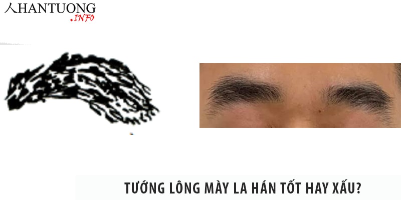 Tướng lông mày la hán – lông mày cụp xuống tốt hay xấu? Tướng lông mày la hán tốt hay xấu?