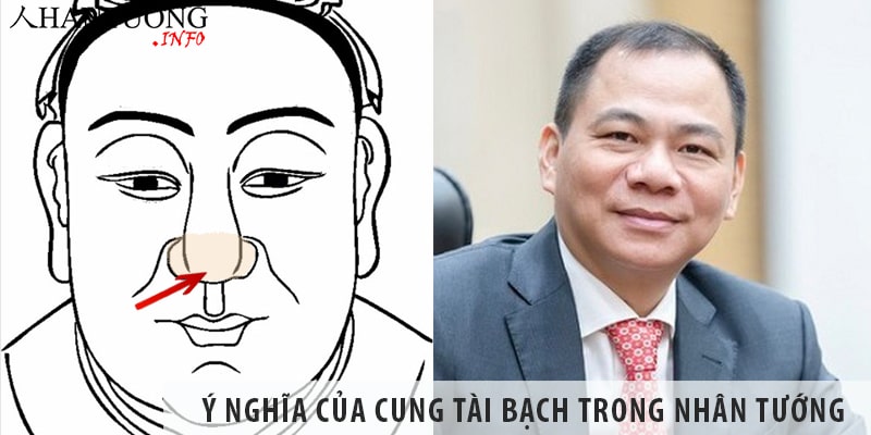 Cung Tài Bạch là gì? Xem cung Tài bạch luận tiền tài, gia sản Cung Tài Bạch là gì? Ý nghĩa của cung Tài Bạch trong nhân tướng