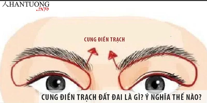 Cung Điền trạch đất đai là gì? Ý nghĩa của cung Điền trạch trong nhân tướng Cung Điền trạch đất đai là gì? Ý nghĩa của cung Điền trạch trong nhân tướng