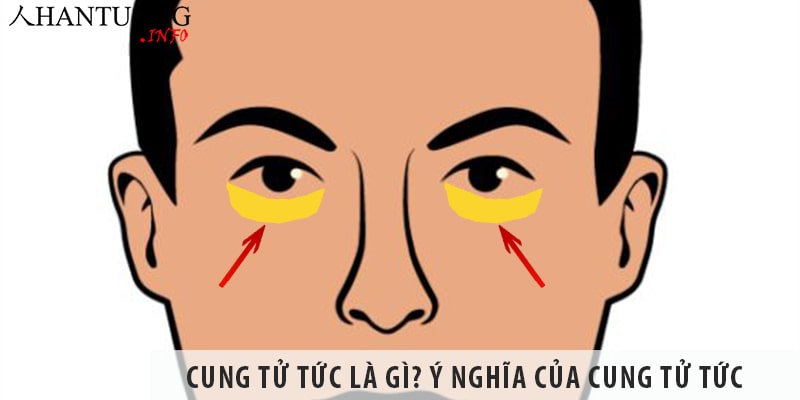 Cung tử tức là gì? Ý nghĩa của cung tử tức, cung con cái theo Nhân tướng học Cung tử tức là gì? Ý nghĩa của cung tử tức, cung con cái theo Nhân tướng học