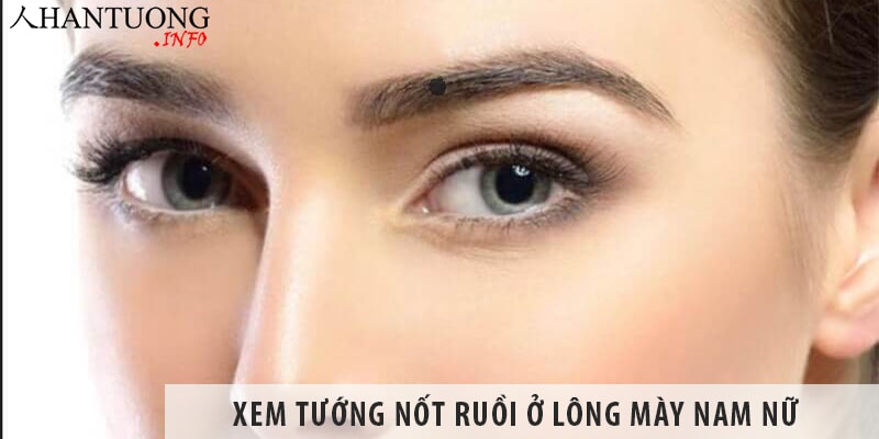 Xem tướng nốt ruồi ở lông mày nam nữ luận giải tốt xấu Xem tướng nốt ruồi ở lông mày nam nữ luận giải tốt xấu