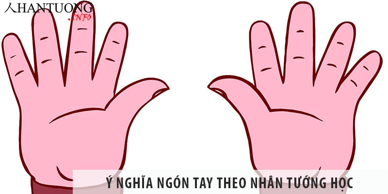 Ý nghĩa ngón tay cái, trỏ, giữa, áp út, út theo Nhân tướng học Ý nghĩa ngón tay cái, trỏ, giữa, áp út, út theo Nhân tướng học