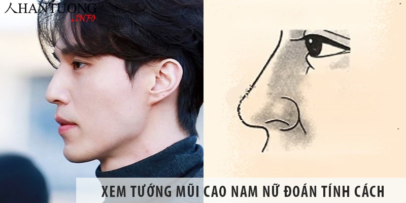 Xem tướng mũi cao nam nữ đoán tính cách, số mệnh Xem tướng mũi cao nam nữ đoán tính cách, số mệnh