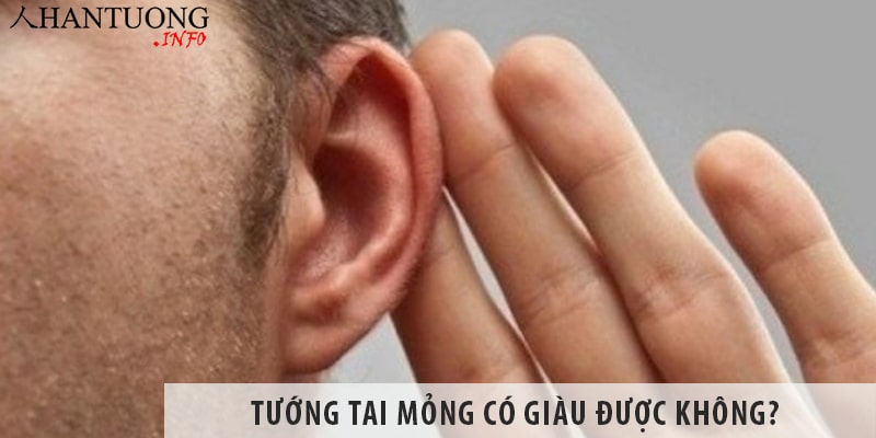 Tướng tai mỏng có xấu không, có giàu được không? Tướng tai mỏng có xấu không, có giàu được không?