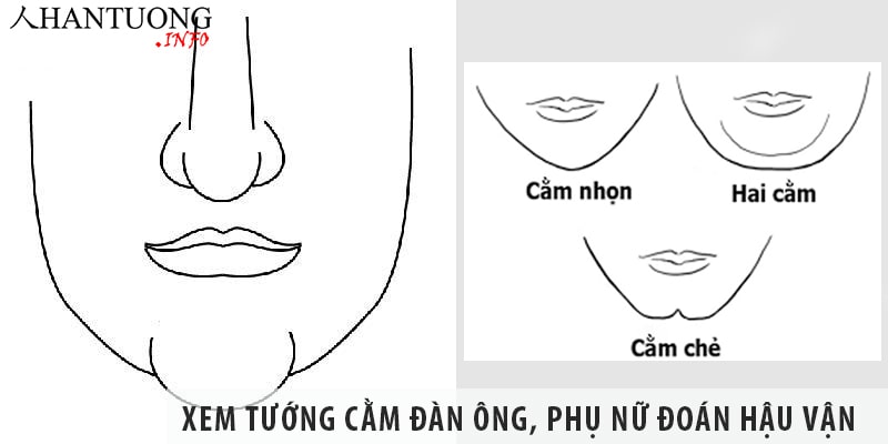 Xem tướng cằm đàn ông, phụ nữ đoán hậu vận tuổi già Xem tướng cằm đàn ông, phụ nữ đoán hậu vận tuổi già