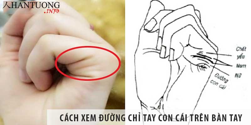 Cách xem đường chỉ tay con cái trên bàn tay Cách xem đường chỉ tay con cái trên bàn tay