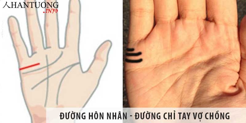 Đường hôn nhân nam nữ – Đường chỉ tay vợ chồng trên bàn tay Đường hôn nhân - Đường chỉ tay vợ chồng trên bàn tay