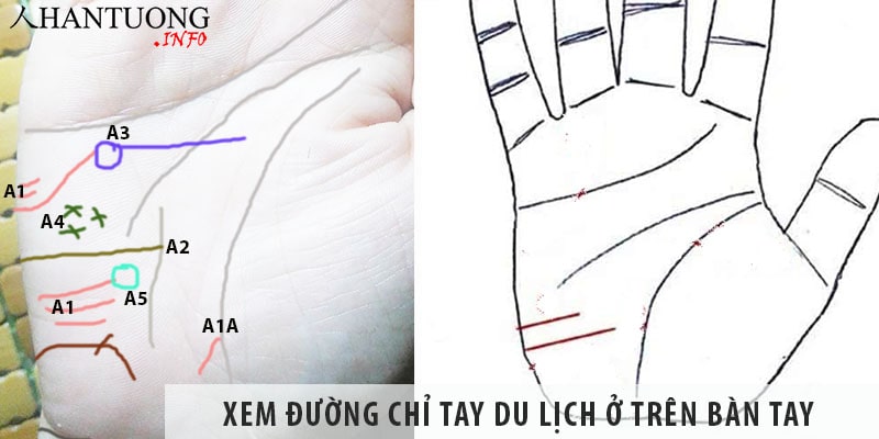 Xem đường chỉ tay du lịch ở trên lòng bàn tay Xem đường chỉ tay du lịch ở trên bàn tay