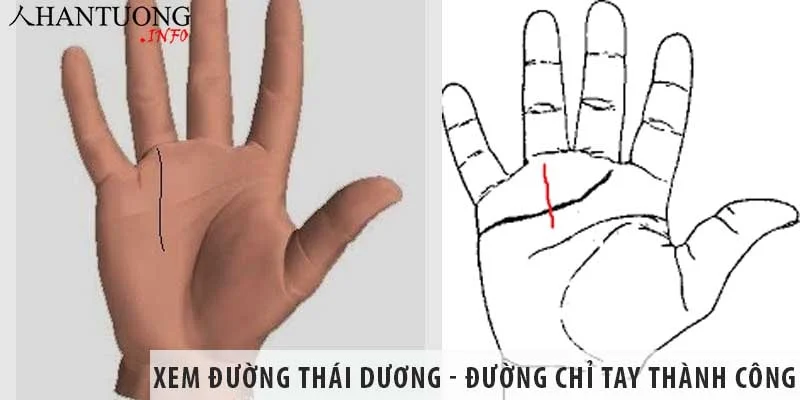 Xem đường Thái dương – đường chỉ tay thành công trên bàn tay Xem đường Thái dương - đường chỉ tay thành công trên bàn tay