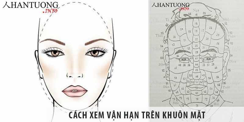 Cách xem vận hạn trên khuôn mặt qua bản đồ 100 tuổi Cách xem vận hạn trên khuôn mặt qua bản đồ 100 tuổi