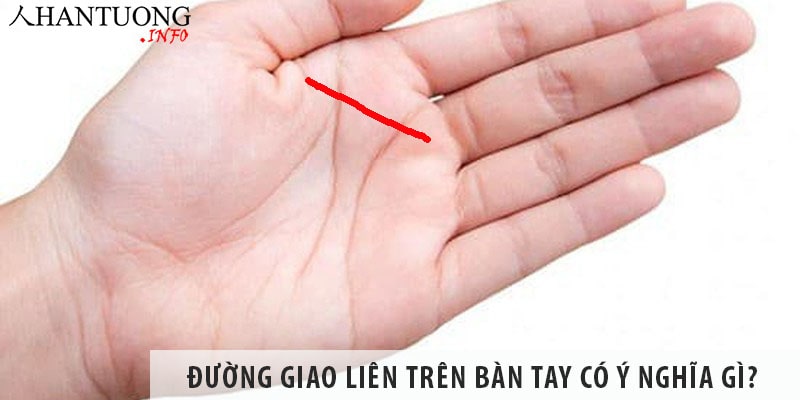 Đường Giao liên trên bàn tay có ý nghĩa gì? Đường Giao liên trên bàn tay có ý nghĩa gì?