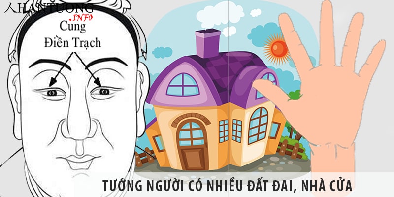Tướng người có nhiều đất đai, nhà cửa và cách nhận biết Tướng người có nhiều đất đai, nhà cửa và cách nhận biết