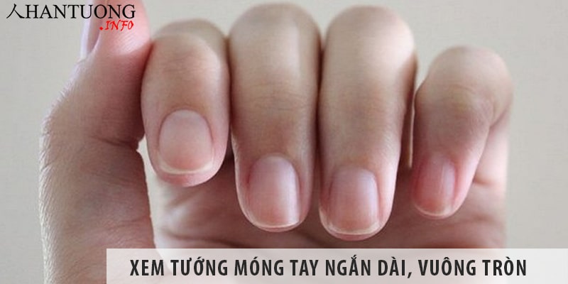 Xem tướng móng tay ngắn dài, vuông tròn đoán tính cách Xem tướng móng tay ngắn dài, vuông tròn, tốt xấu