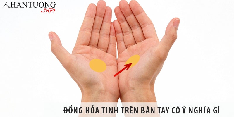 Đồng Hỏa tinh trên bàn tay – nốt ruồi ở đồng Hỏa tinh có ý nghĩa gì Đồng Hỏa tinh trên bàn tay - nốt ruồi ở đồng Hỏa tinh có ý nghĩa gì