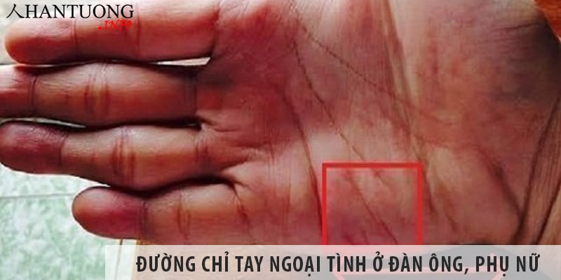 Đường chỉ tay ngoại tình ở đàn ông, phụ nữ không chung thủy Đường chỉ tay ngoại tình ở đàn ông, phụ nữ không chung thủy