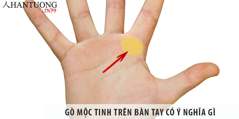Gò Mộc tinh trên bàn tay có ý nghĩa gì, cách xem tướng gò Mộc tinh Gò Mộc tinh trên bàn tay có ý nghĩa gì, cách xem tướng gò Mộc tinh