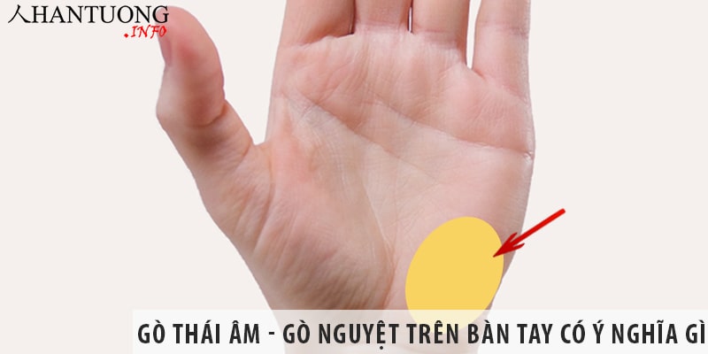 Gò Thái âm – gò Nguyệt trên bàn tay có ý nghĩa gì và cách xem tướng Gò Thái âm - gò Nguyệt trên bàn tay có ý nghĩa gì và cách xem tướng