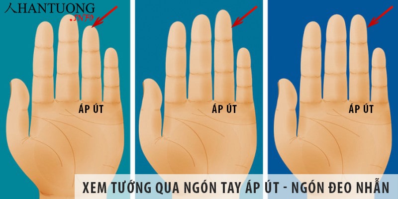 Xem tướng qua ngón tay áp út – ngón tay đeo nhẫn Xem tướng qua ngón tay áp út - ngón tay đeo nhẫn
