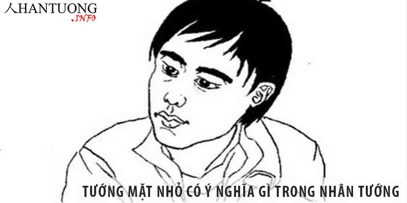 Tướng mặt nhỏ có ý nghĩa gì trong Nhân tướng