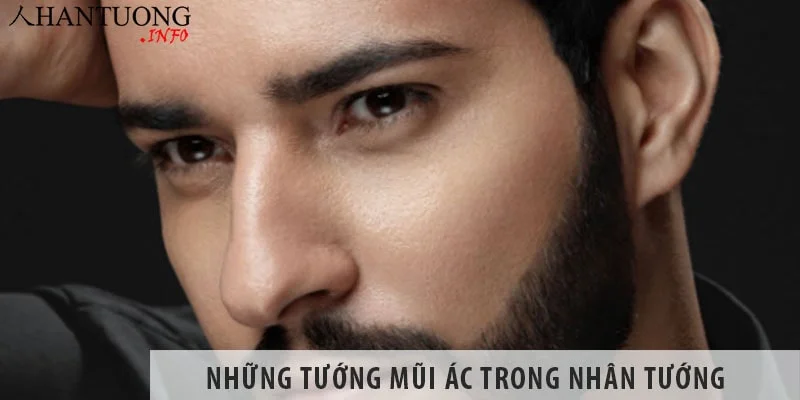 Những tướng mũi ác trong nhân tướng, mũi ác có đặc điểm gì? Những tướng mũi ác trong nhân tướng, mũi ác có đặc điểm gì?