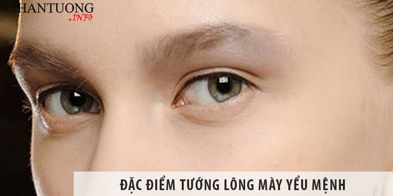 Đặc điểm tướng lông mày yểu mệnh – những tướng mày không thọ Đặc điểm tướng lông mày yểu mệnh - những tướng mày không thọ